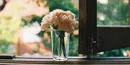 ده قدم برای شروع زندگی جدید/ زندگی را معطل کرونا نگذاریم